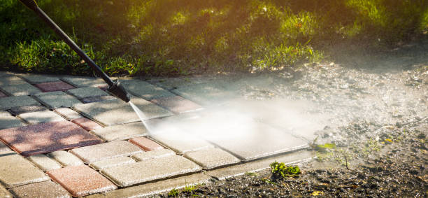 Animal Enclosure Cleaning in Ogden, UT